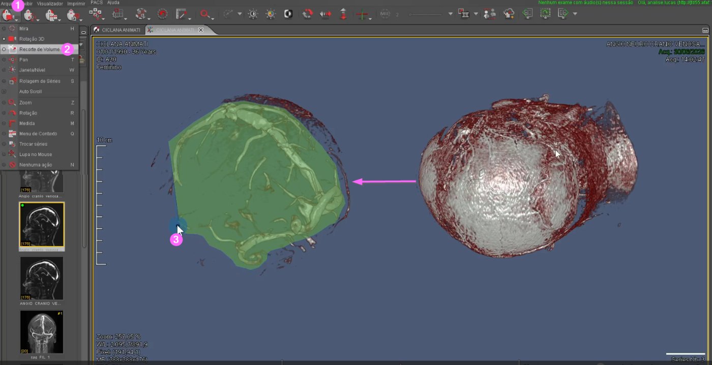Workstation 3D — Animati